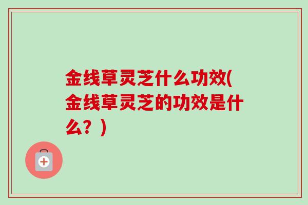 金线草灵芝什么功效(金线草灵芝的功效是什么？)