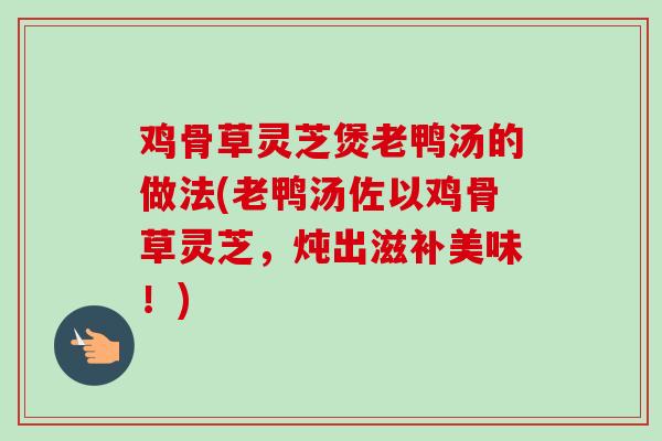 鸡骨草灵芝煲老鸭汤的做法(老鸭汤佐以鸡骨草灵芝，炖出滋补美味！)