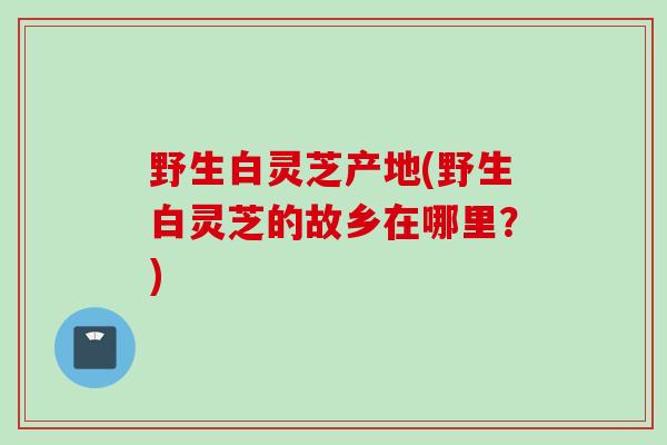 野生白灵芝产地(野生白灵芝的故乡在哪里？)