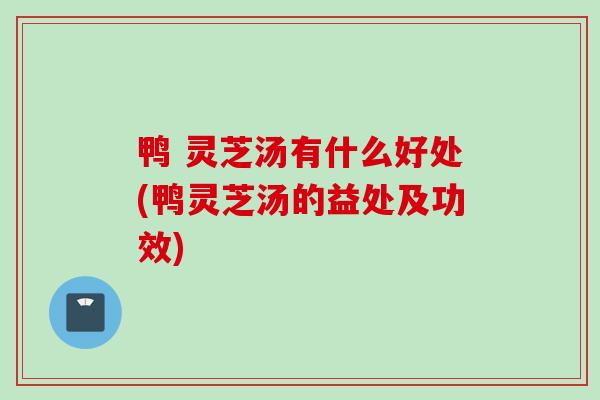 鸭 灵芝汤有什么好处(鸭灵芝汤的益处及功效)