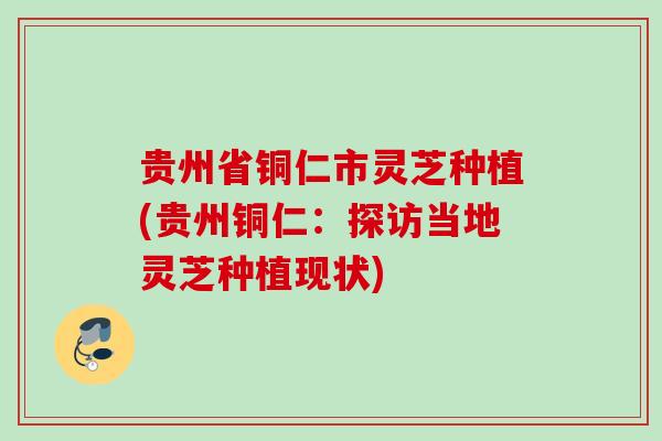 贵州省铜仁市灵芝种植(贵州铜仁：探访当地灵芝种植现状)