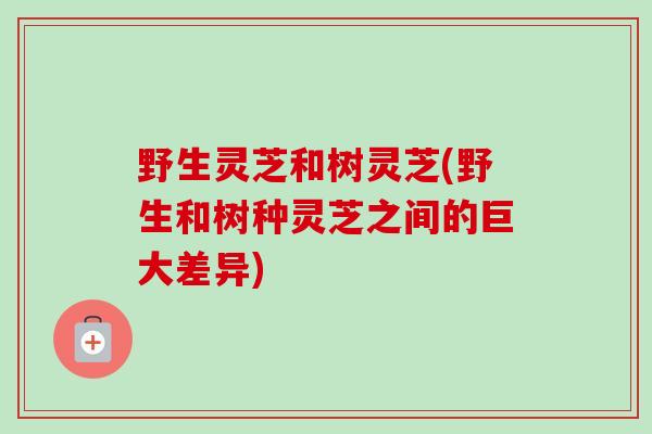 野生灵芝和树灵芝(野生和树种灵芝之间的巨大差异)