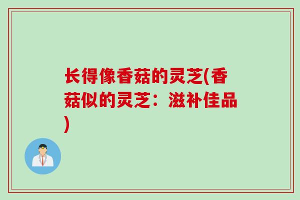 长得像香菇的灵芝(香菇似的灵芝：滋补佳品)