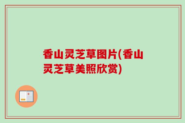 香山灵芝草图片(香山灵芝草美照欣赏)