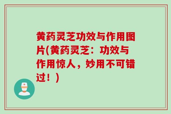 黄药灵芝功效与作用图片(黄药灵芝：功效与作用惊人，妙用不可错过！)