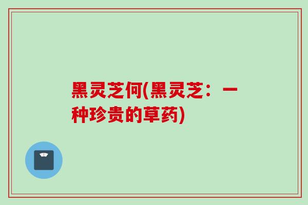黑灵芝何(黑灵芝：一种珍贵的草药)