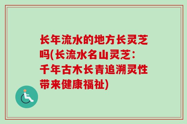 长年流水的地方长灵芝吗(长流水名山灵芝：千年古木长青追溯灵性带来健康福祉)