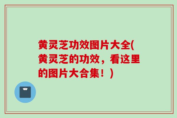 黄灵芝功效图片大全(黄灵芝的功效，看这里的图片大合集！)