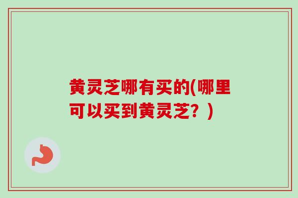 黄灵芝哪有买的(哪里可以买到黄灵芝？)