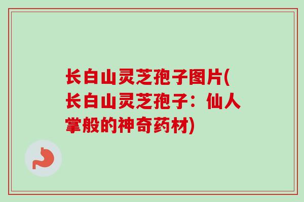 长白山灵芝孢子图片(长白山灵芝孢子：仙人掌般的神奇药材)