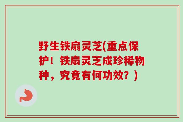 野生铁扇灵芝(重点保护！铁扇灵芝成珍稀物种，究竟有何功效？)