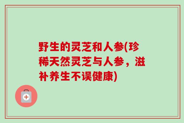 野生的灵芝和人参(珍稀天然灵芝与人参，滋补养生不误健康)