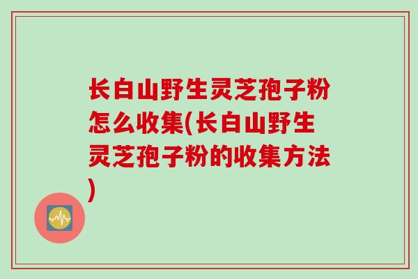 长白山野生灵芝孢子粉怎么收集(长白山野生灵芝孢子粉的收集方法)