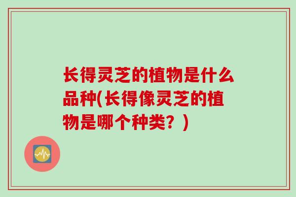 长得灵芝的植物是什么品种(长得像灵芝的植物是哪个种类？)