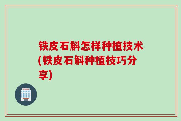 铁皮石斛怎样种植技术(铁皮石斛种植技巧分享)