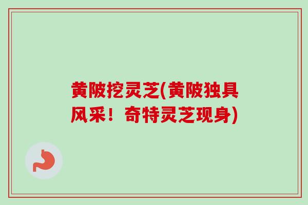 黄陂挖灵芝(黄陂独具风采！奇特灵芝现身)