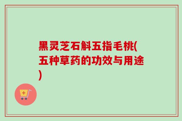 黑灵芝石斛五指毛桃(五种草药的功效与用途) 黑灵芝石斛五指毛桃(五种草药的功效与用途)