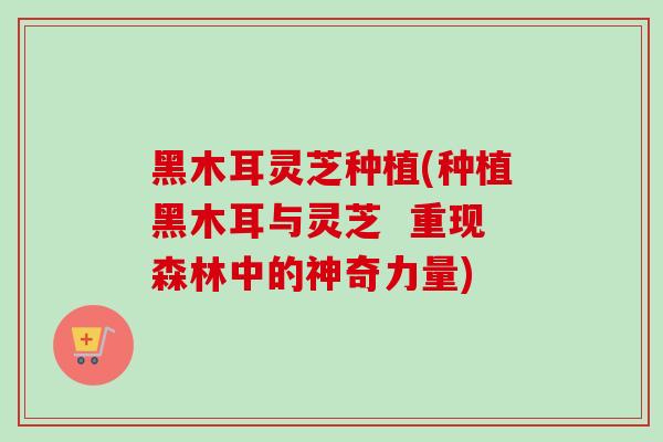 黑木耳灵芝种植(种植黑木耳与灵芝  重现森林中的神奇力量)