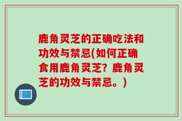 鹿角灵芝的正确吃法和功效与禁忌(如何正确食用鹿角灵芝？鹿角灵芝的功效与禁忌。)