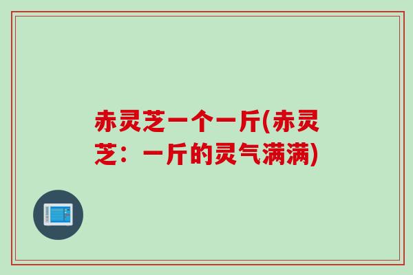 赤灵芝一个一斤(赤灵芝：一斤的灵气满满)