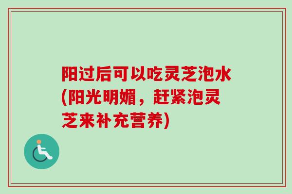 阳过后可以吃灵芝泡水(阳光明媚，赶紧泡灵芝来补充营养)
