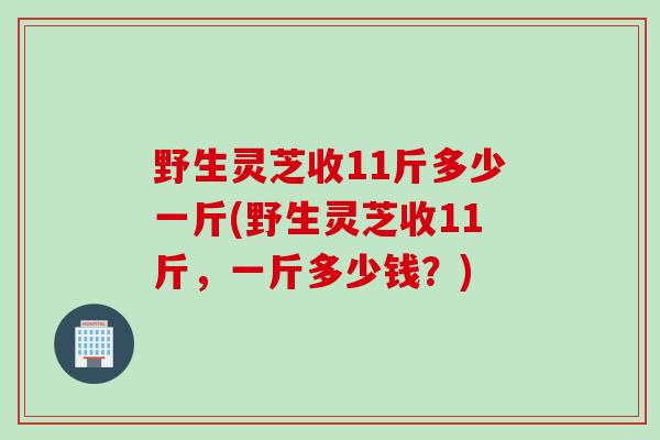 野生灵芝收11斤多少一斤(野生灵芝收11斤，一斤多少钱？)