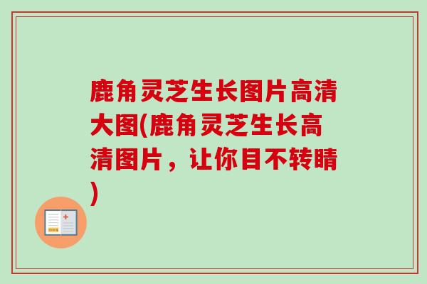 鹿角灵芝生长图片高清大图(鹿角灵芝生长高清图片，让你目不转睛)