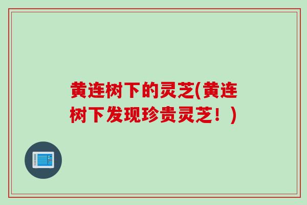 黄连树下的灵芝(黄连树下发现珍贵灵芝！)