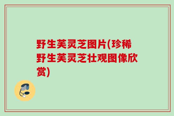 野生芙灵芝图片(珍稀野生芙灵芝壮观图像欣赏)