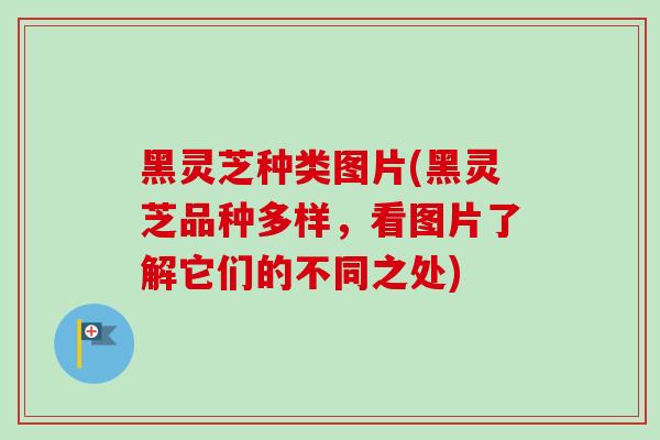 黑灵芝种类图片(黑灵芝品种多样，看图片了解它们的不同之处)