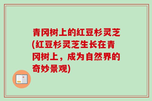 青冈树上的红豆杉灵芝(红豆杉灵芝生长在青冈树上，成为自然界的奇妙景观)