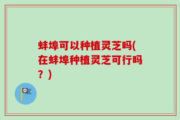蚌埠可以种植灵芝吗(在蚌埠种植灵芝可行吗？)