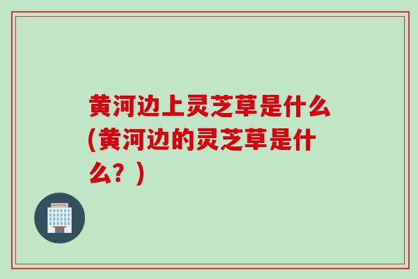 黄河边上灵芝草是什么(黄河边的灵芝草是什么？)