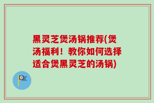 黑灵芝煲汤锅推荐(煲汤福利!教你如何选择适合煲黑灵芝的汤锅) 黑灵芝煲汤锅推荐(煲汤福利!教你如何选择适合煲黑灵芝的汤锅)