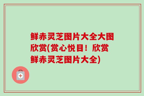 鲜赤灵芝图片大全大图欣赏(赏心悦目！欣赏鲜赤灵芝图片大全)