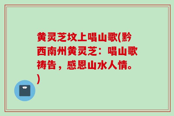 黄灵芝坟上唱山歌(黔西南州黄灵芝：唱山歌祷告，感恩山水人情。)