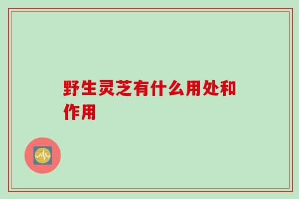 野生灵芝有什么用处和作用