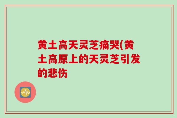 黄土高天灵芝痛哭(黄土高原上的天灵芝引发的悲伤