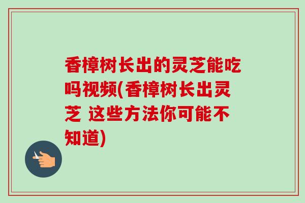 香樟树长出的灵芝能吃吗视频(香樟树长出灵芝 这些方法你可能不知道)
