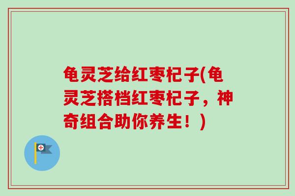 龟灵芝给红枣杞子(龟灵芝搭档红枣杞子，神奇组合助你养生！)