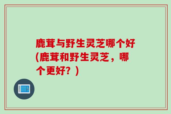 鹿茸与野生灵芝哪个好(鹿茸和野生灵芝，哪个更好？)