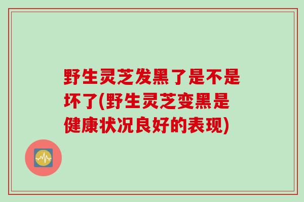 野生灵芝发黑了是不是坏了(野生灵芝变黑是健康状况良好的表现)