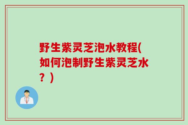 野生紫灵芝泡水教程(如何泡制野生紫灵芝水？)
