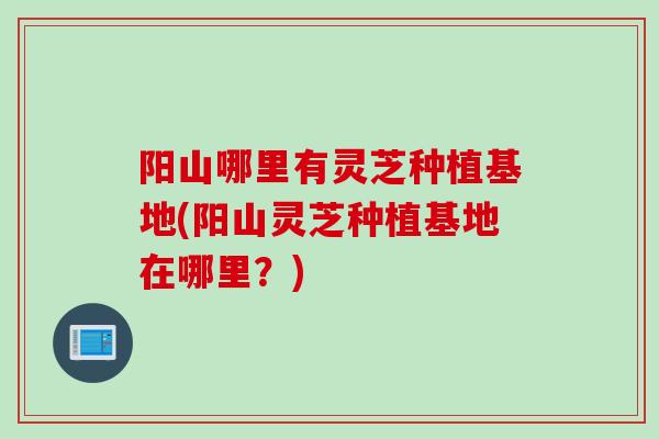 阳山哪里有灵芝种植基地(阳山灵芝种植基地在哪里？)