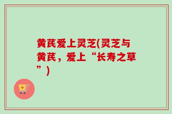 黄芪爱上灵芝(灵芝与黄芪，爱上“长寿之草”)