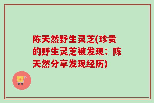 陈天然野生灵芝(珍贵的野生灵芝被发现：陈天然分享发现经历)