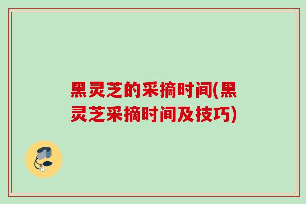 黑灵芝的采摘时间(黑灵芝采摘时间及技巧)