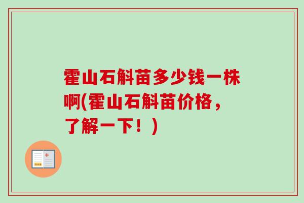 霍山石斛苗多少钱一株啊(霍山石斛苗价格,了解一下!)