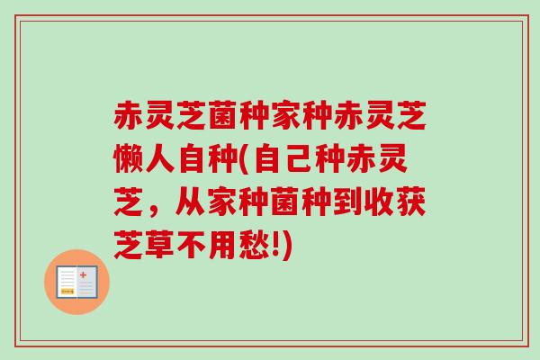 赤灵芝菌种家种赤灵芝懒人自种(自己种赤灵芝，从家种菌种到收获芝草不用愁!)