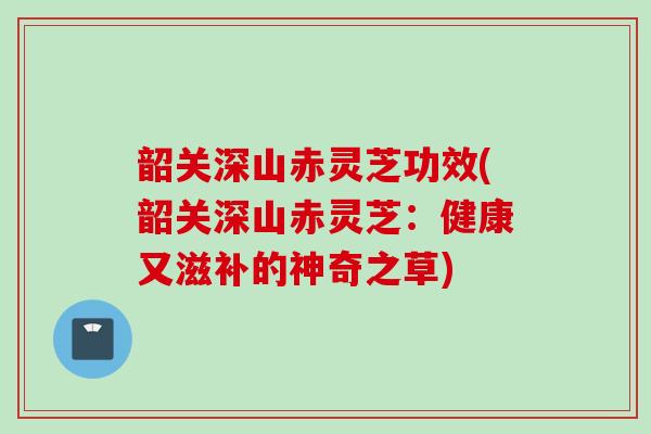 韶关深山赤灵芝功效(韶关深山赤灵芝:健康又滋补的神奇之草) 韶关深山赤灵芝功效(韶关深山赤灵芝:健康又滋补的神奇之草)